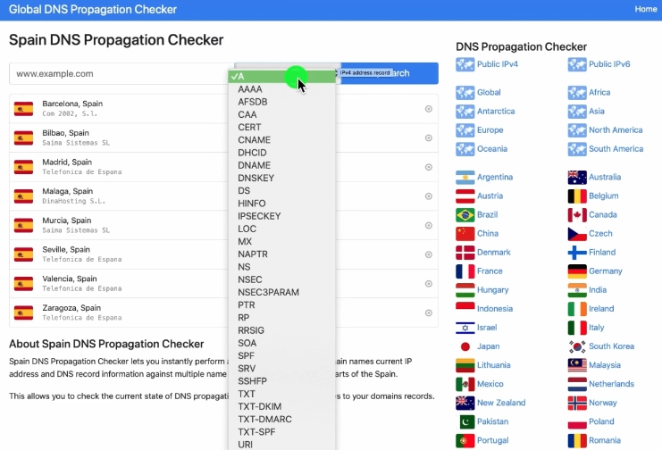 Check DNS por países