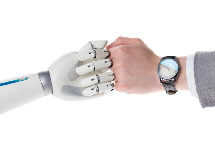 Crear robots.txt personalizado