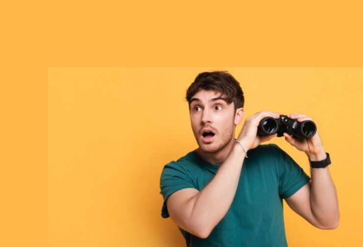 Instant Domain Search