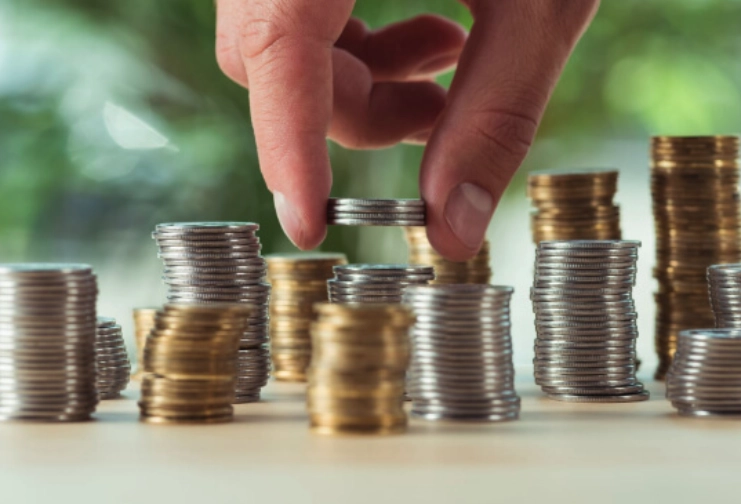 Usar checkout de WooCommerce en Amelia