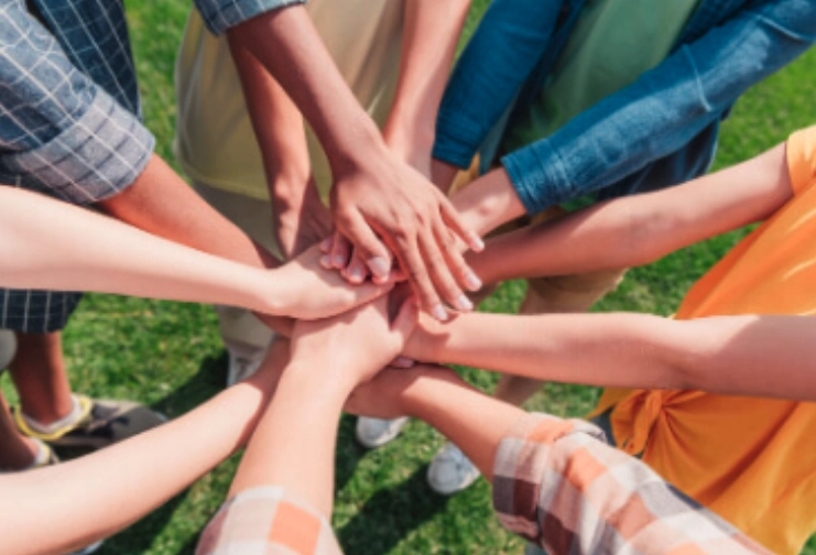 Preguntas y respuestas VIP